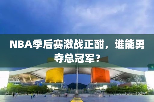 NBA季后赛激战正酣，谁能勇夺总冠军？