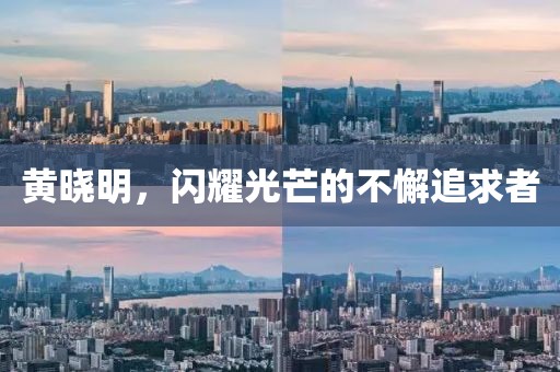 黄晓明，闪耀光芒的不懈追求者