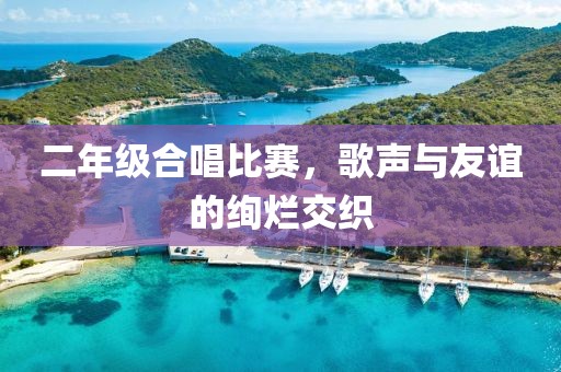 二年级合唱比赛，歌声与友谊的绚烂交织