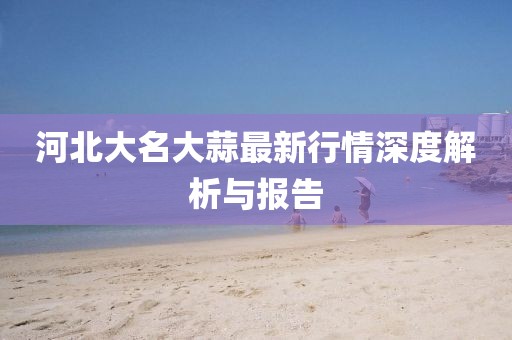 河北大名大蒜最新行情深度解析与报告