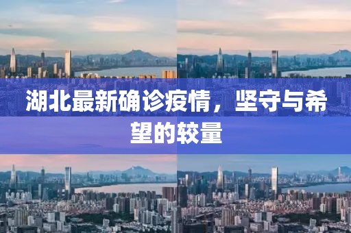 湖北最新确诊疫情，坚守与希望的较量