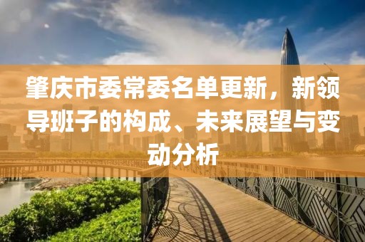 肇庆市委常委名单更新，新领导班子的构成、未来展望与变动分析