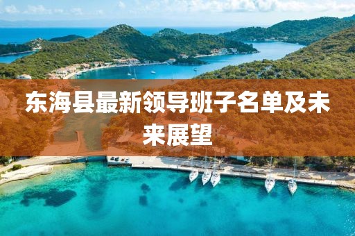 东海县最新领导班子名单及未来展望
