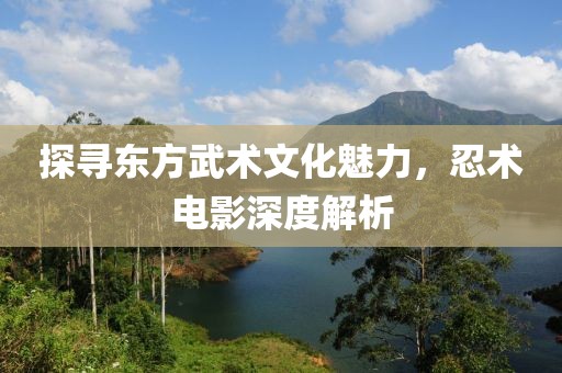 探寻东方武术文化魅力，忍术电影深度解析