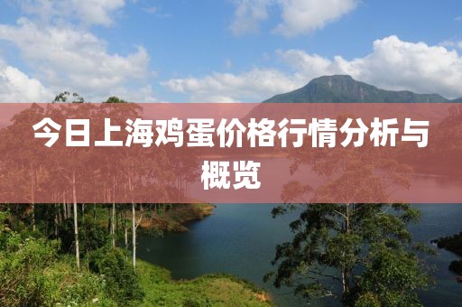 今日上海鸡蛋价格行情分析与概览