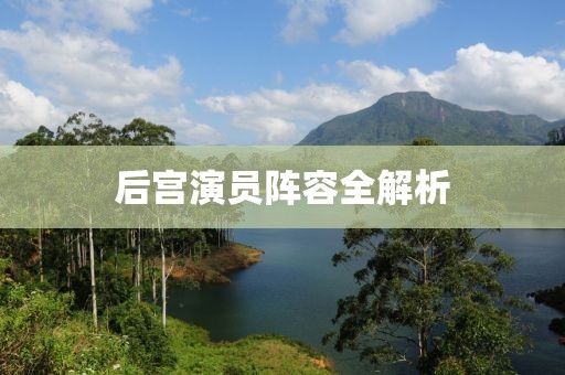 后宫演员阵容全解析