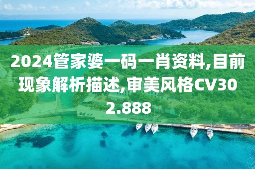 2024管家婆一码一肖资料,目前现象解析描述,审美风格CV302.888