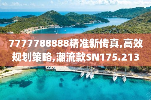 7777788888精准新传真,高效规划策略,潮流款SN175.213