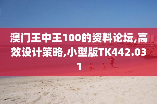 澳门王中王100的资料论坛,高效设计策略,小型版TK442.031