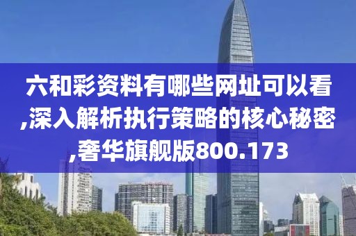 六和彩资料有哪些网址可以看,深入解析执行策略的核心秘密,奢华旗舰版800.173