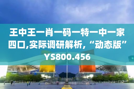 王中王一肖一码一特一中一家四口,实际调研解析,“动态版”YS800.456