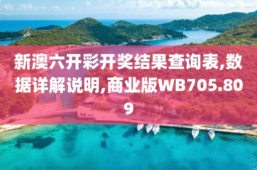 新澳六开彩开奖结果查询表,数据详解说明,商业版WB705.809