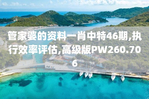 管家婆的资料一肖中特46期,执行效率评估,高级版PW260.706