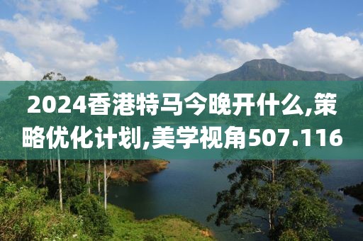 2024香港特马今晚开什么,策略优化计划,美学视角507.116