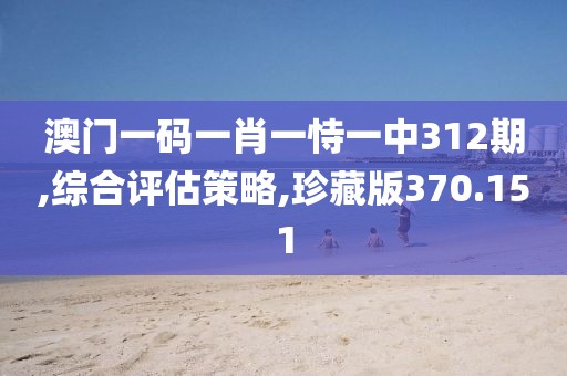 澳门一码一肖一恃一中312期,综合评估策略,珍藏版370.151