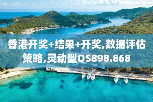 香港开奖+结果+开奖,数据评估策略,灵动型QS898.868