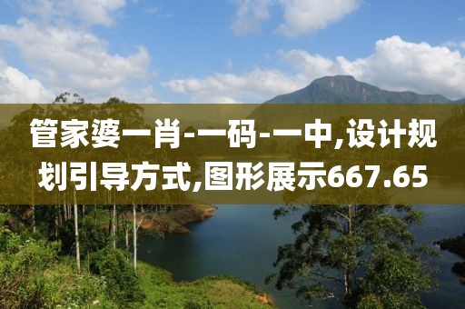 管家婆一肖-一码-一中,设计规划引导方式,图形展示667.65