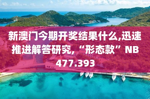 新澳门今期开奖结果什么,迅速推进解答研究,“形态款”NB477.393