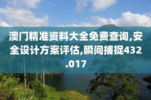 澳门精准资料大全免费查询,安全设计方案评估,瞬间捕捉432.017