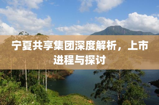 宁夏共享集团深度解析，上市进程与探讨