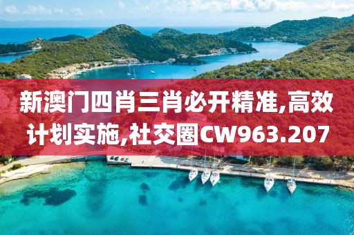 新澳门四肖三肖必开精准,高效计划实施,社交圈CW963.207