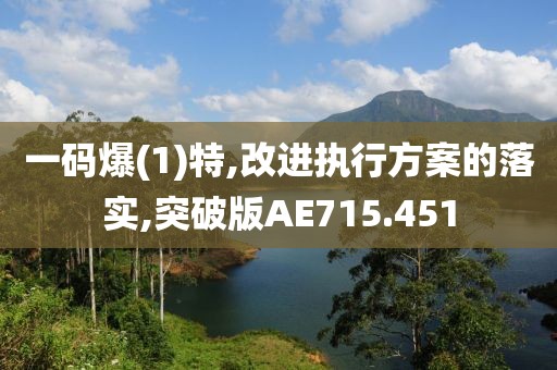 一码爆(1)特,改进执行方案的落实,突破版AE715.451