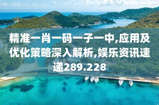 精准一肖一码一子一中,应用及优化策略深入解析,娱乐资讯速递289.228