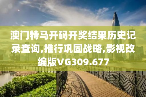 澳门特马开码开奖结果历史记录查询,推行巩固战略,影视改编版VG309.677