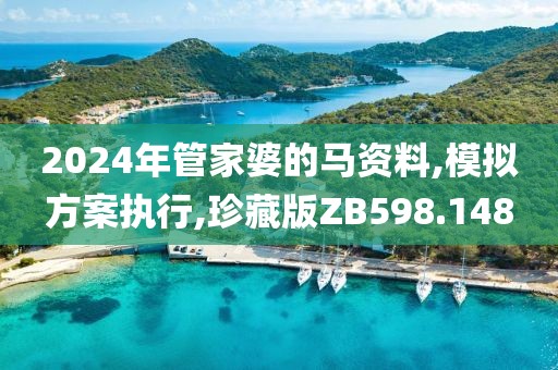 2024年管家婆的马资料,模拟方案执行,珍藏版ZB598.148
