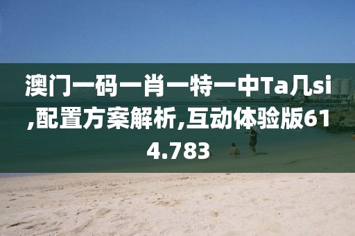 澳门一码一肖一特一中Ta几si,配置方案解析,互动体验版614.783