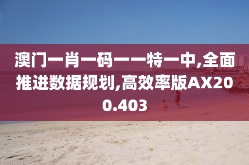 澳门一肖一码一一特一中,全面推进数据规划,高效率版AX200.403