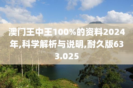 澳门王中王100%的资料2024年,科学解析与说明,耐久版633.025