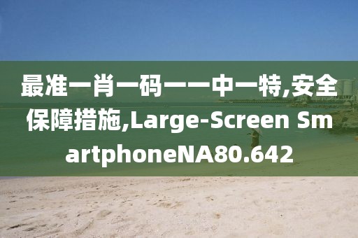 最准一肖一码一一中一特,安全保障措施,Large-Screen SmartphoneNA80.642