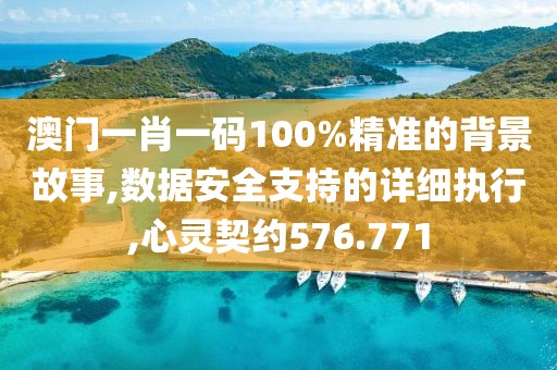 澳门一肖一码100%精准的背景故事,数据安全支持的详细执行,心灵契约576.771