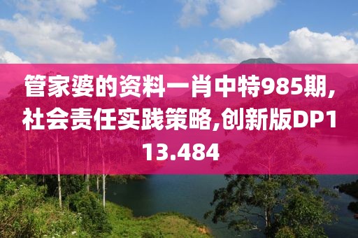 管家婆的资料一肖中特985期,社会责任实践策略,创新版DP113.484
