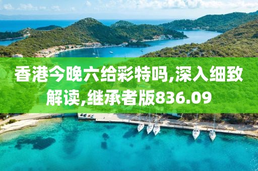 香港今晚六给彩特吗,深入细致解读,继承者版836.09