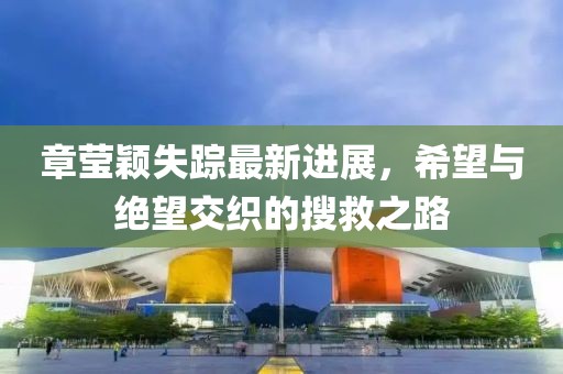 章莹颖失踪最新进展，希望与绝望交织的搜救之路