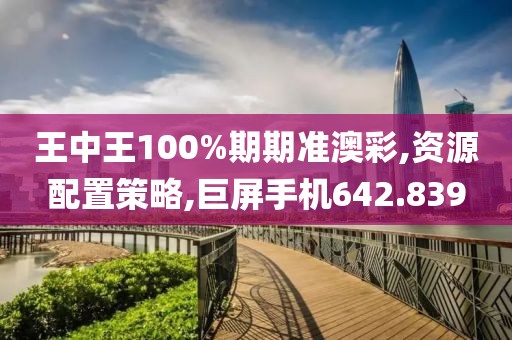 王中王100%期期准澳彩,资源配置策略,巨屏手机642.839