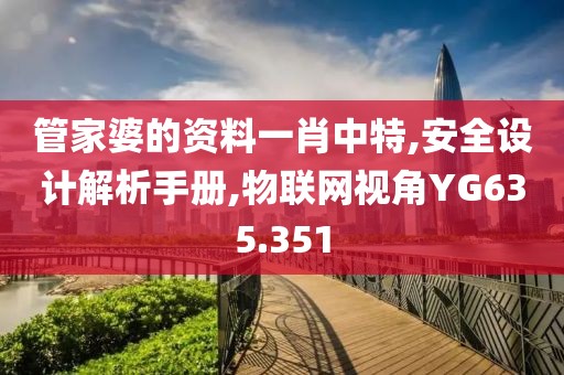 管家婆的资料一肖中特,安全设计解析手册,物联网视角YG635.351