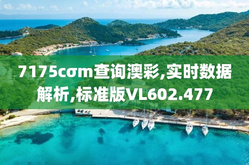 7175cσm查询澳彩,实时数据解析,标准版VL602.477
