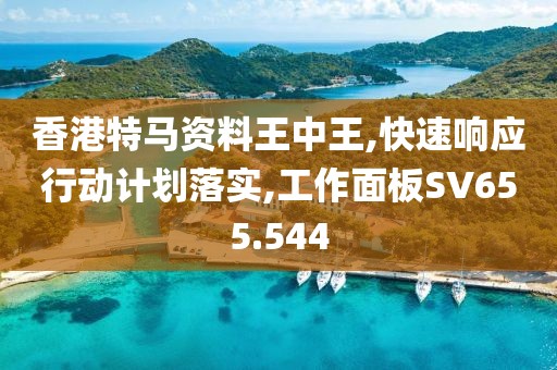 香港特马资料王中王,快速响应行动计划落实,工作面板SV655.544
