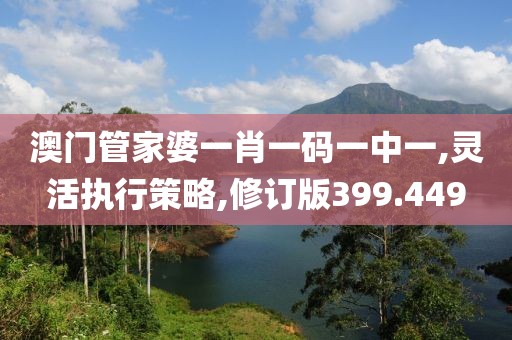 澳门管家婆一肖一码一中一,灵活执行策略,修订版399.449