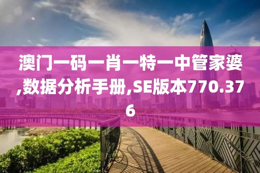 澳门一码一肖一特一中管家婆,数据分析手册,SE版本770.376