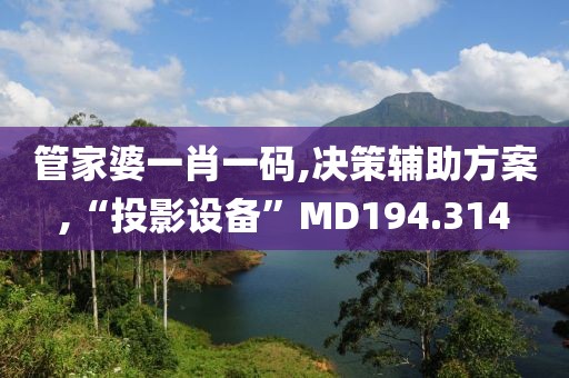 管家婆一肖一码,决策辅助方案,“投影设备”MD194.314