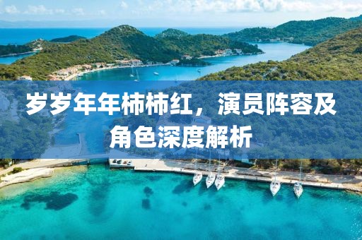 岁岁年年柿柿红，演员阵容及角色深度解析