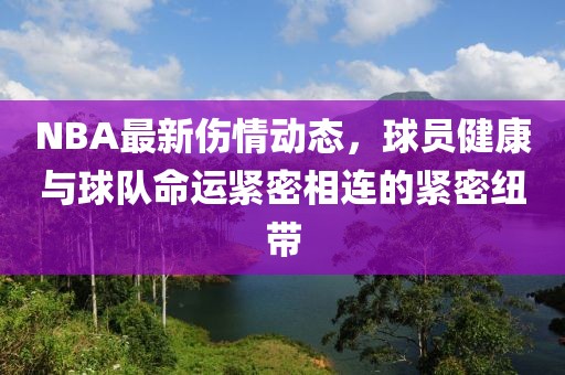 NBA最新伤情动态，球员健康与球队命运紧密相连的紧密纽带