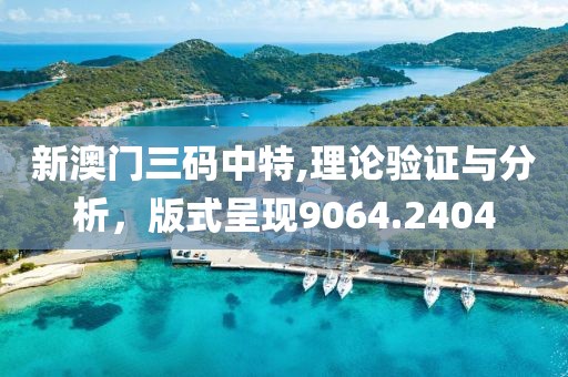 新澳门三码中特,理论验证与分析，版式呈现9064.2404