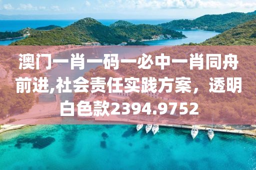 澳门一肖一码一必中一肖同舟前进,社会责任实践方案，透明白色款2394.9752