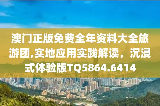 澳门正版免费全年资料大全旅游团,实地应用实践解读，沉浸式体验版TQ5864.6414