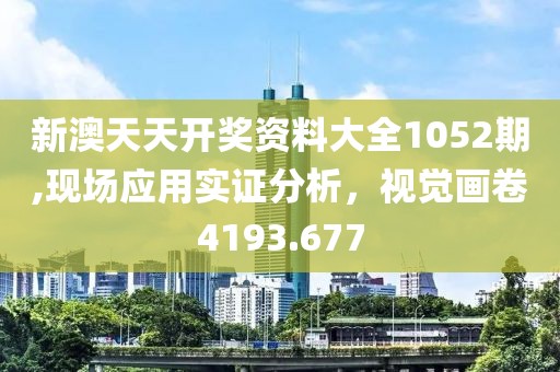 新澳天天开奖资料大全1052期,现场应用实证分析，视觉画卷4193.677